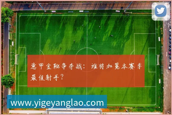 意甲金靴争夺战:谁将加冕本赛季最佳射手?
