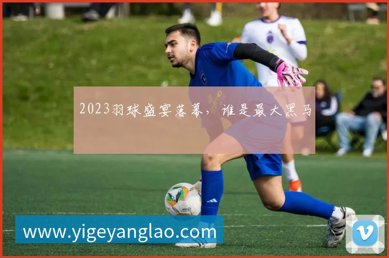 2023羽球盛宴落幕,谁是最大黑马