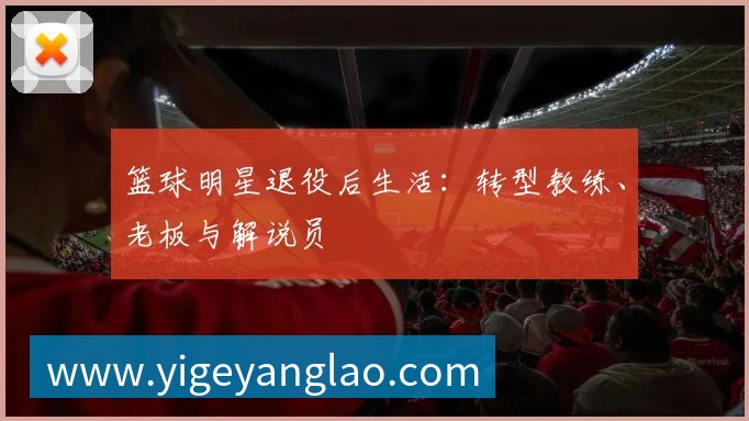 篮球明星退役后生活:转型教练、老板与解说员