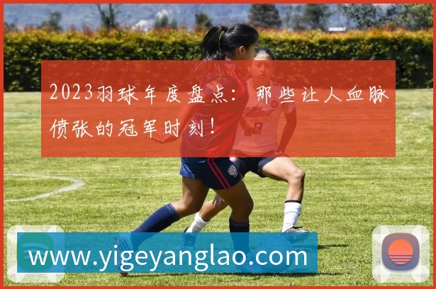 2023羽球年度盘点:那些让人血脉偾张的冠军时刻!