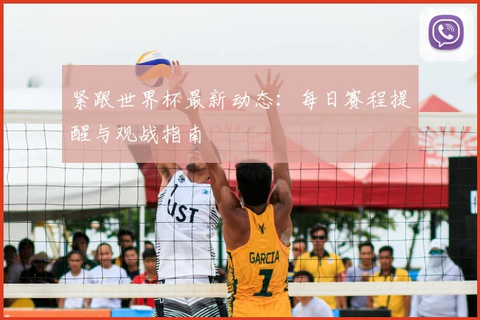 对战数据统计